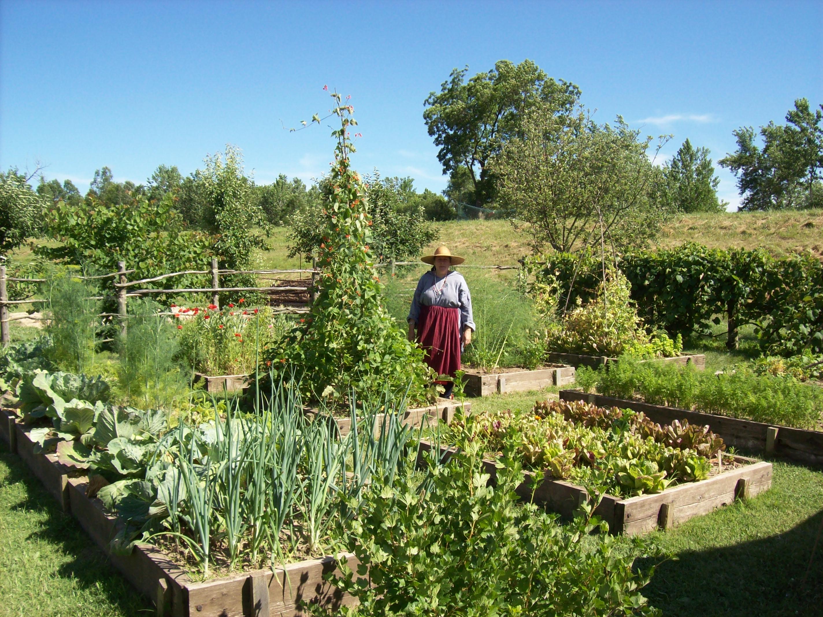 Jardin Potager – French Kitchen Garden – Fort de Chartres Heritage