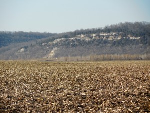 American Bottomland