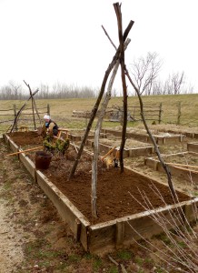 Jardin potager.