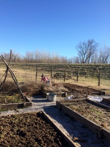 Garden volunteer, Jennifer Duensing working in the winter jardin.