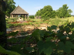 Jardin Potager 2016 (CK)